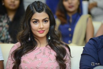 Okkadu Migiladu Movie Pre Release Function